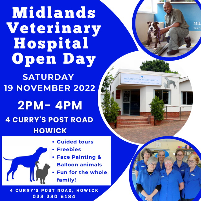 MVH Open Day newsletter 10 nov copy