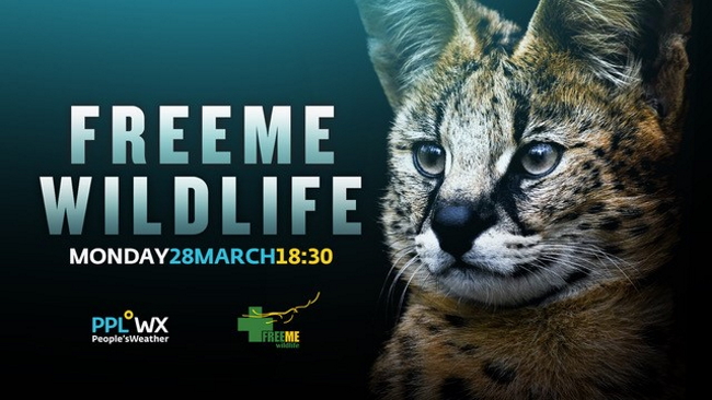 freeMe wildlife 28 march 2022
