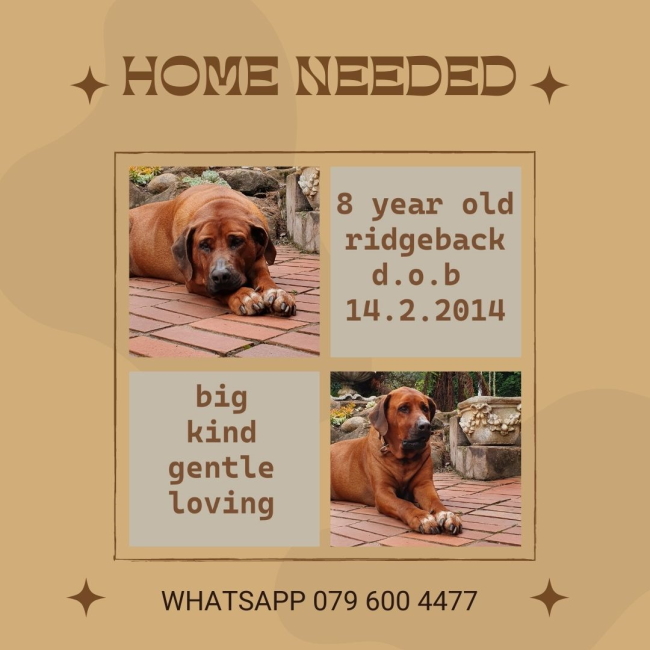 gump home needed ridgeback 650