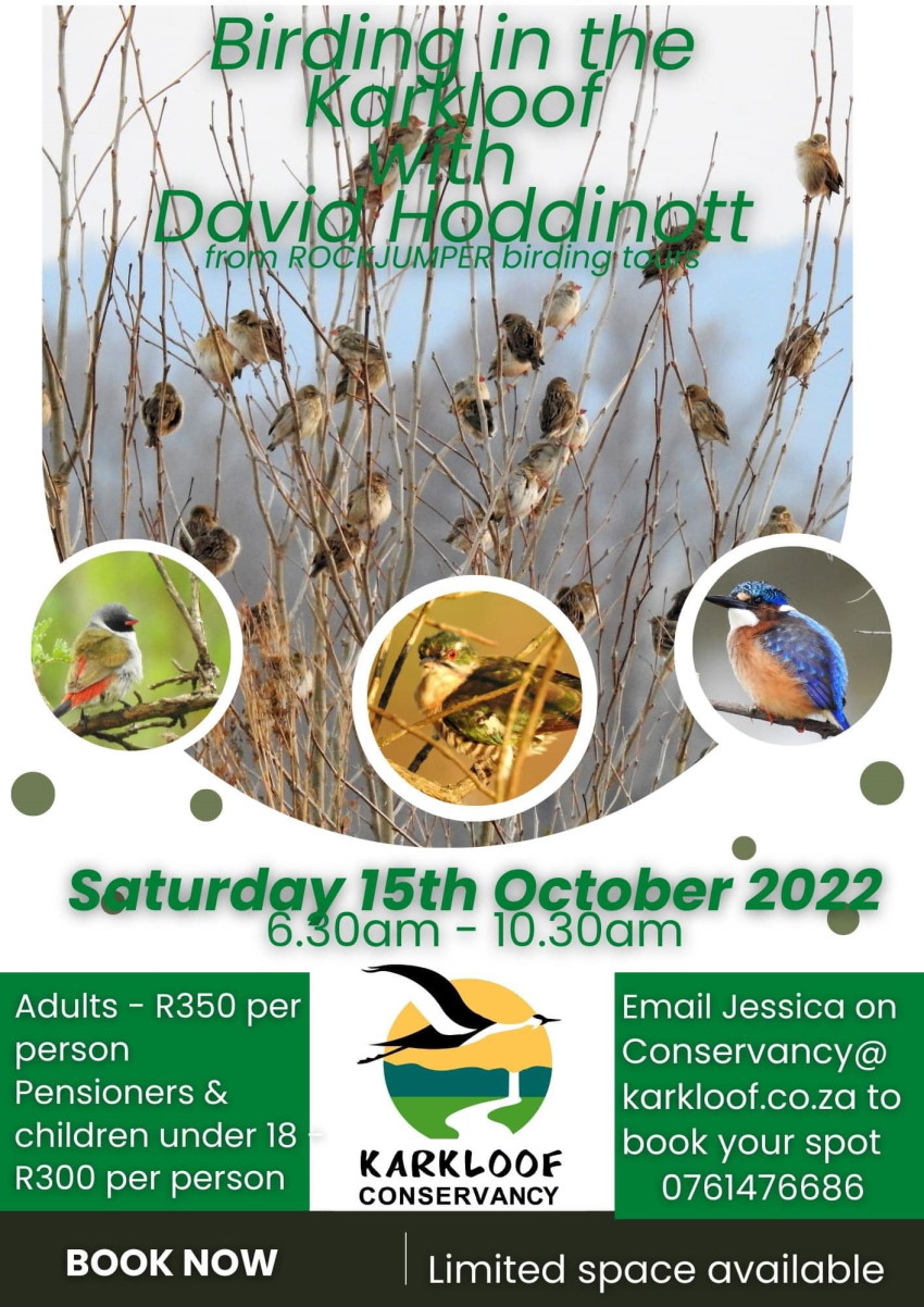 15 oct birding karkloof