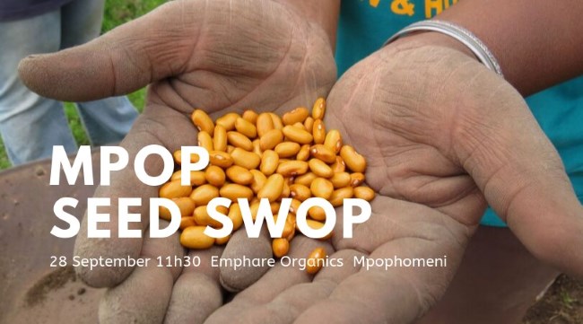 seed swop