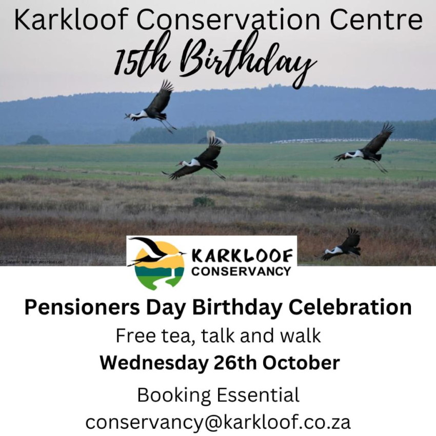 26 oct karkloof conservancy birthday 15