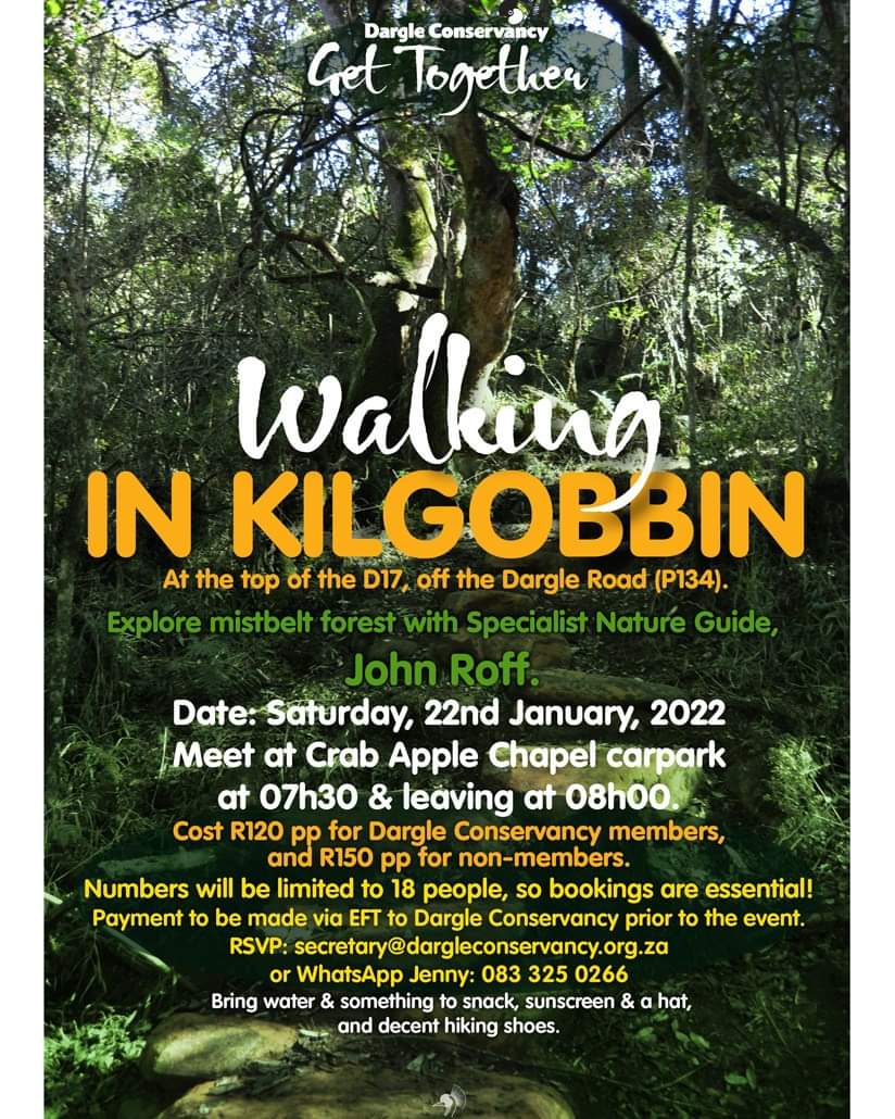 kilgobbin jan 10 2022