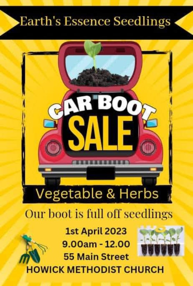 1 april howick seedlings