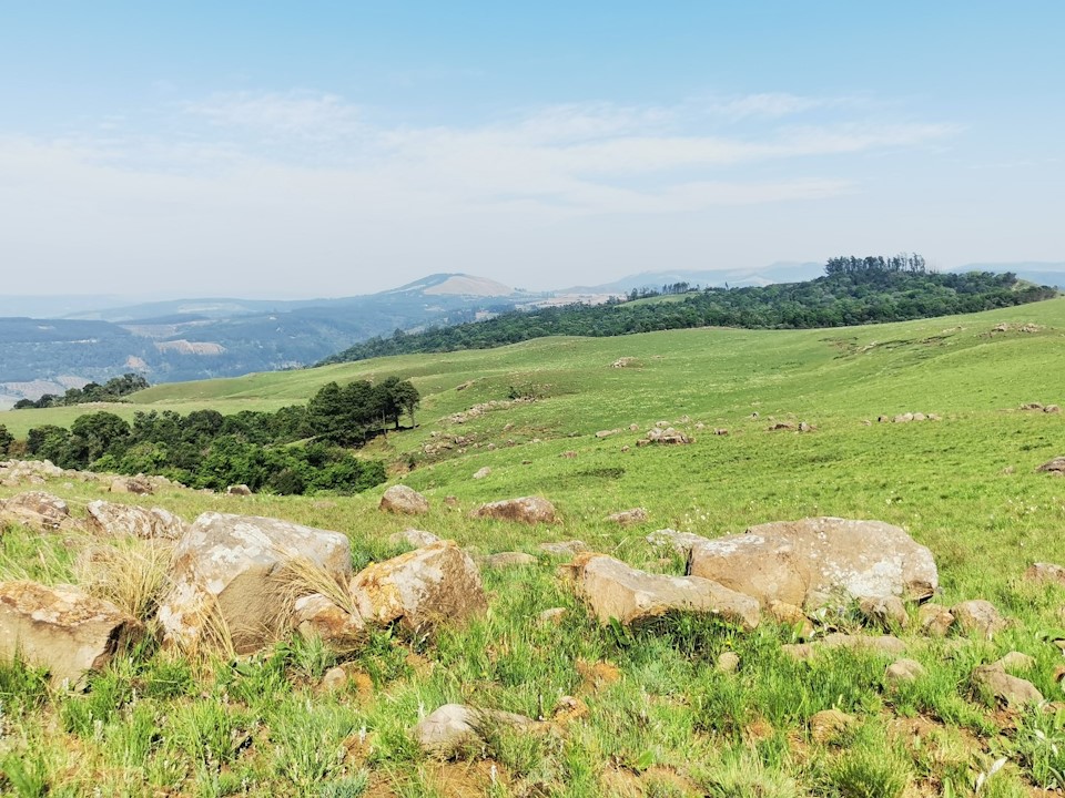 blinkwater howick footer