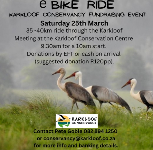 e bike ride