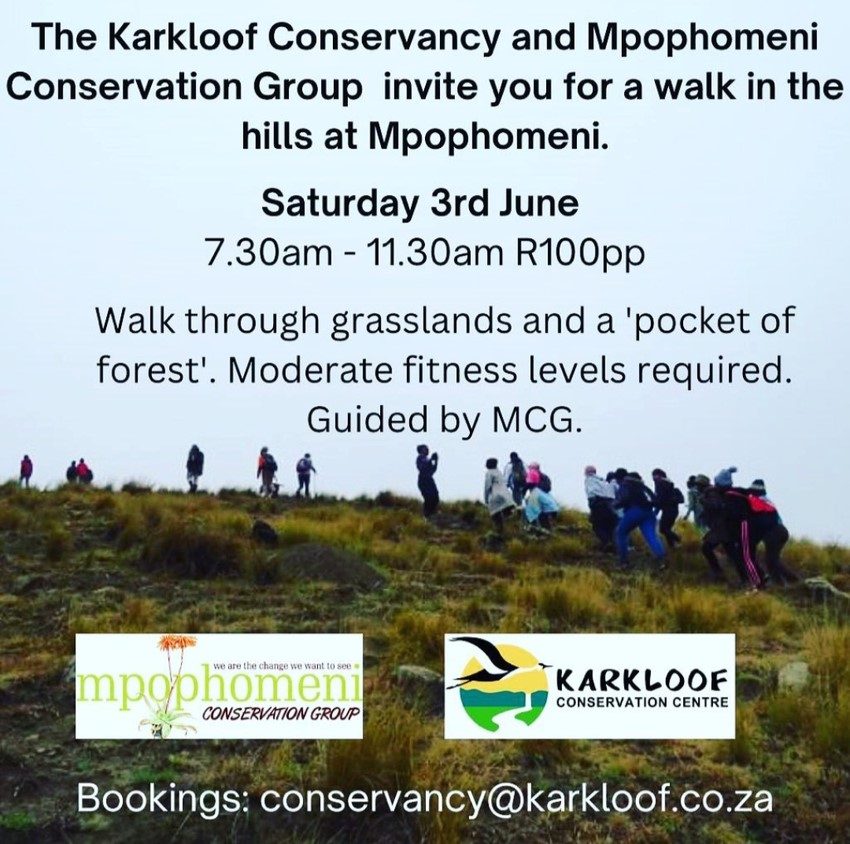 mphop walk