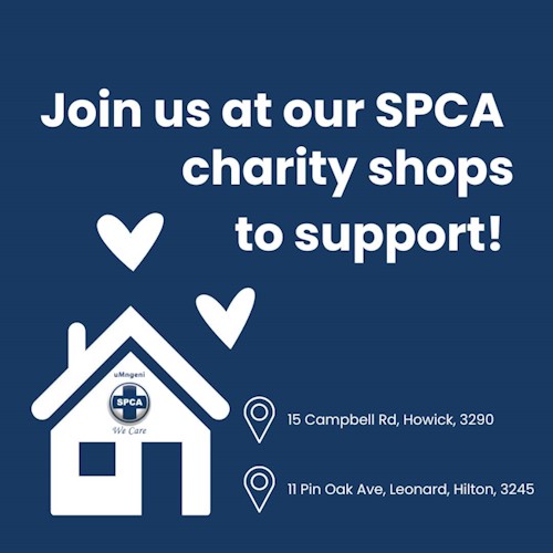 spca shopping nov 2023 news