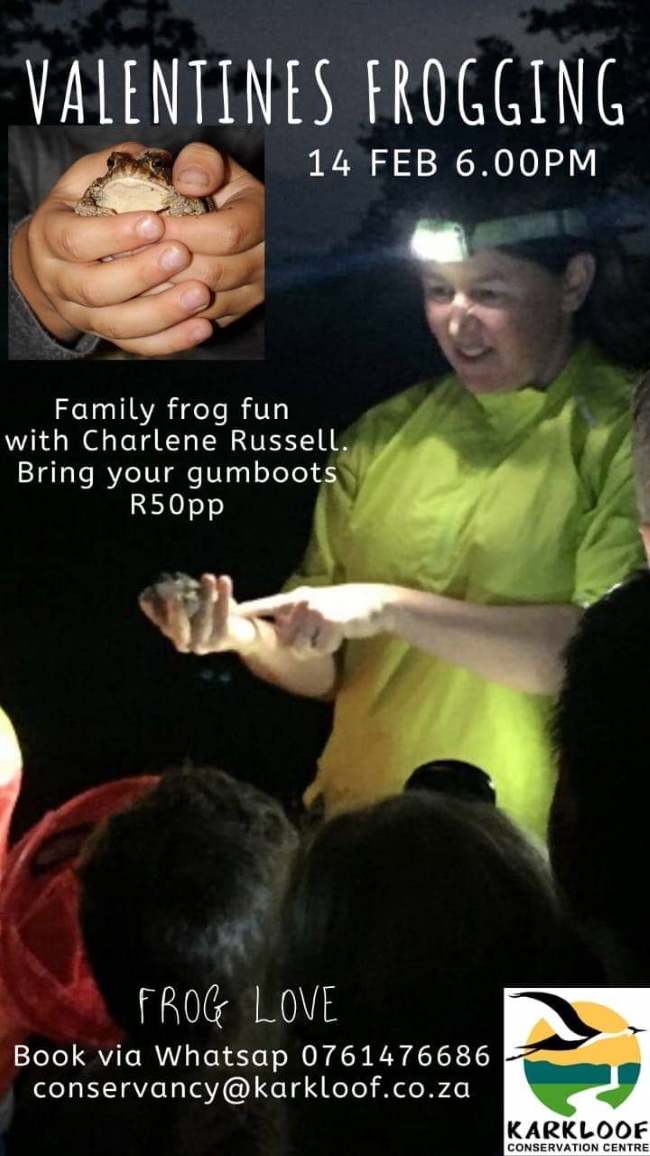 Valentine frogging