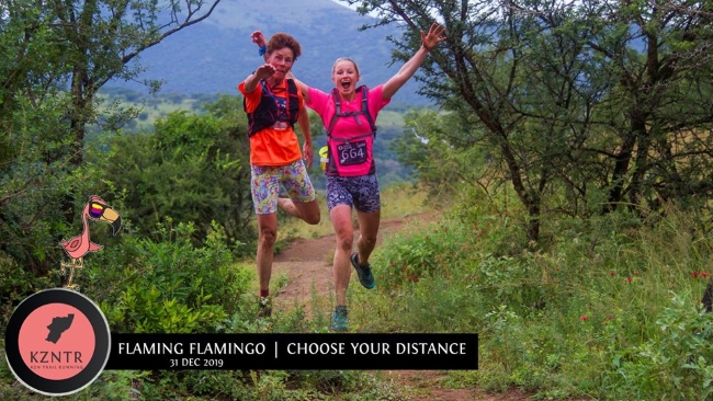 flamingo run