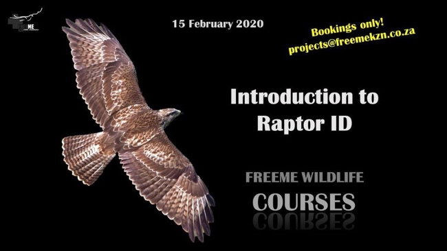 freeme raptro id course