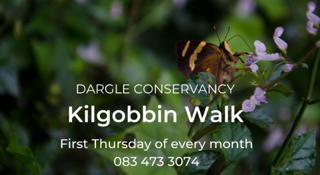 kilgobbin walk