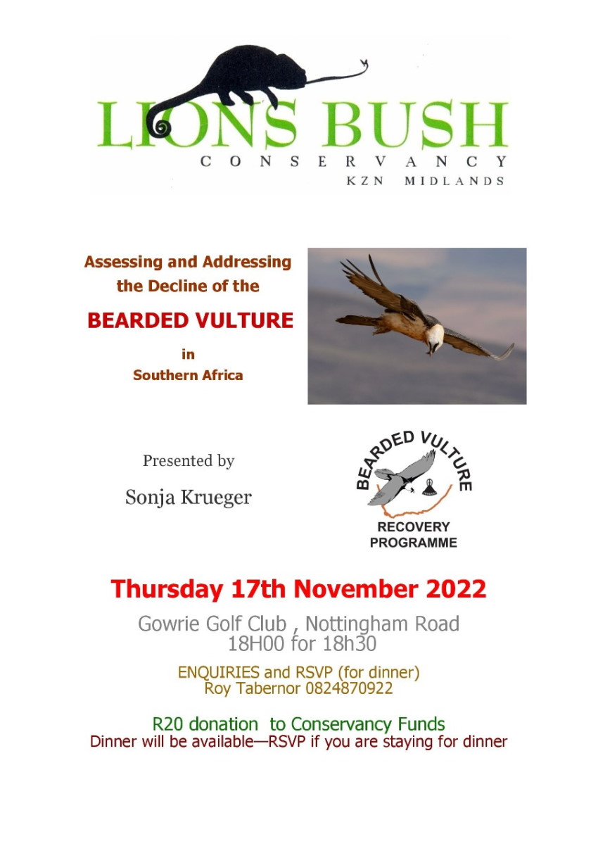 lions bush conservancy sonja kreuger