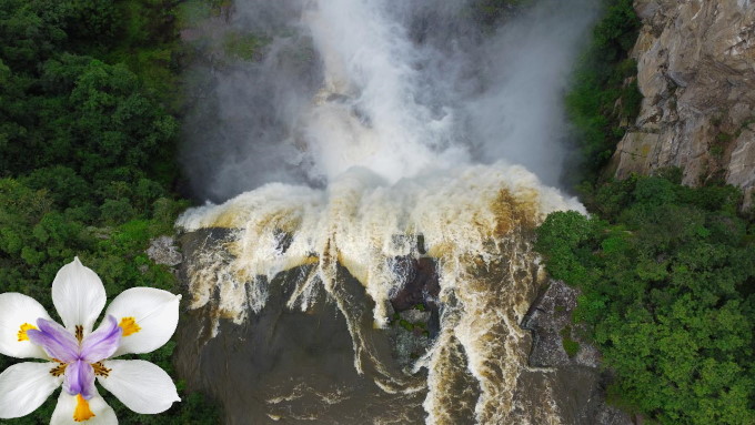 2022 newsletter karkloof falls