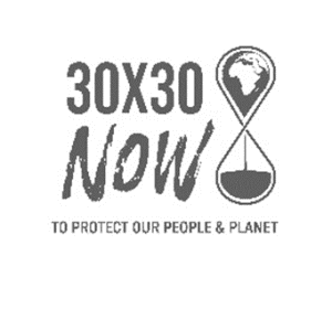 30 x 30 now