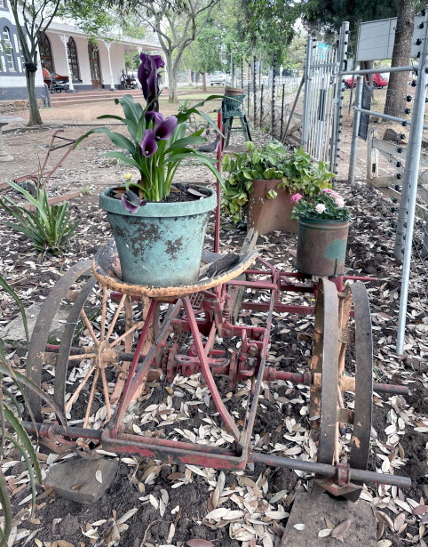 angels care garden