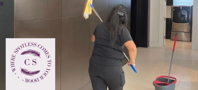 clean swipe spotless howick