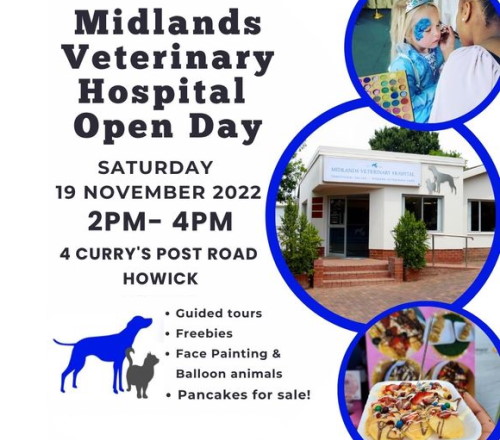 midlands veterinary hospital 2022 cover