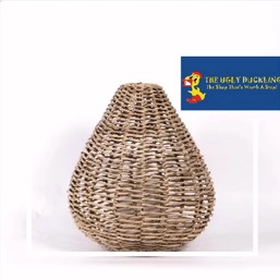 baskets ugly duck