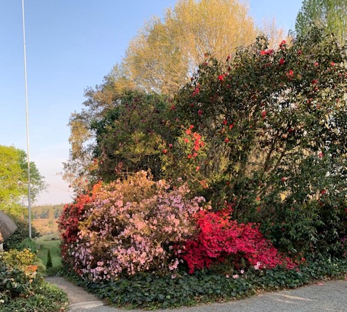 endebeni garden 2023