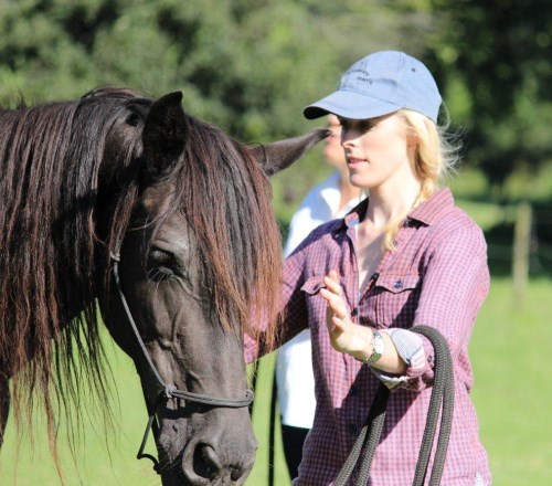 horse play500x440 copy