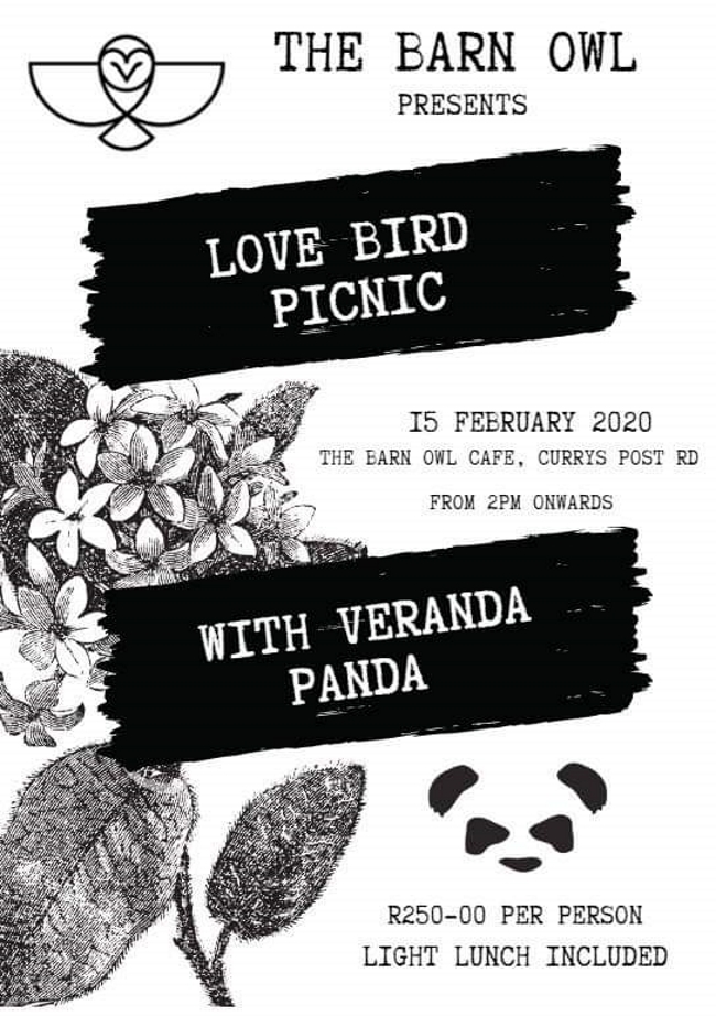The barn owl love picnic