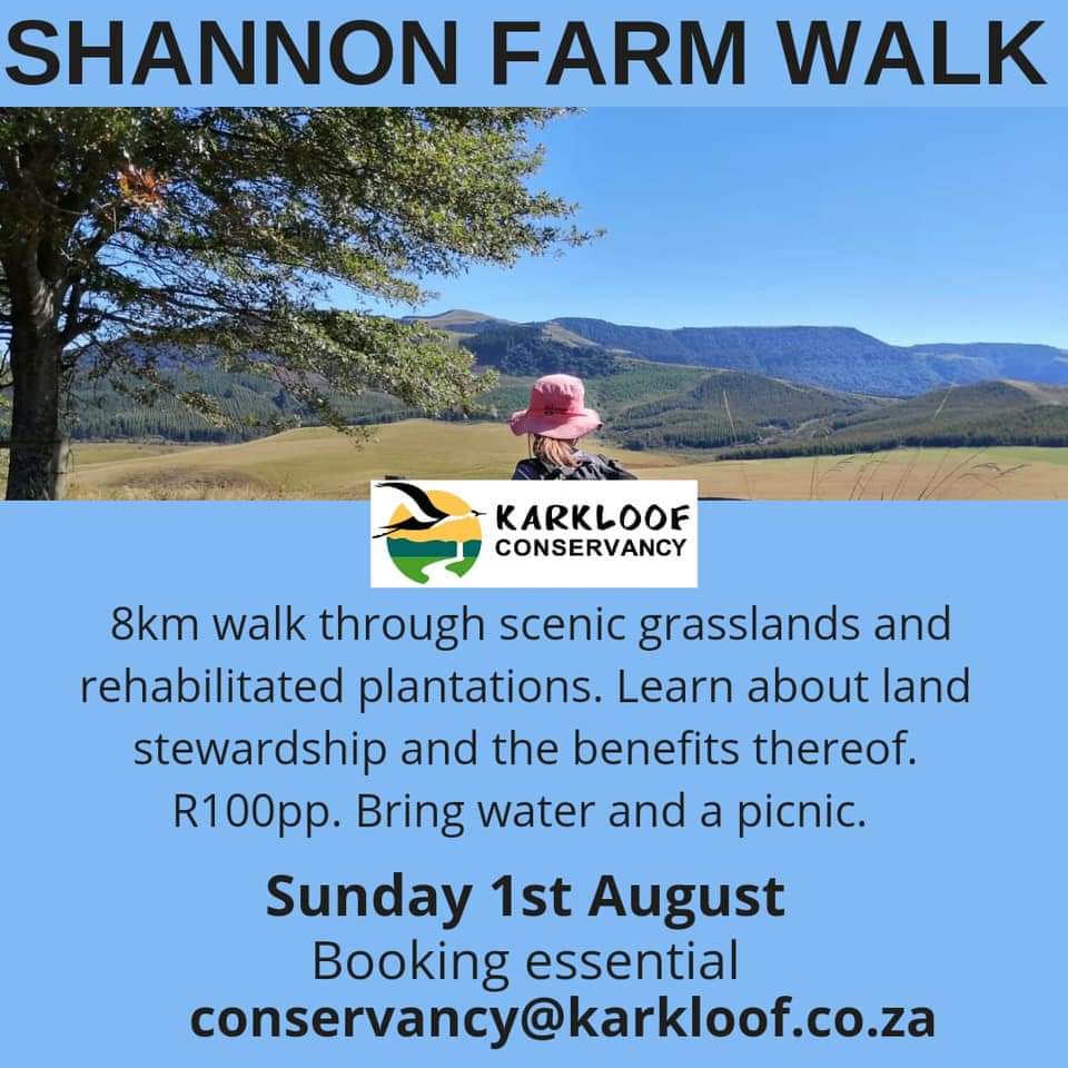 shannon farm walk