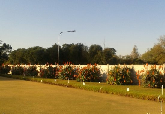 aloes in bloon uwbc newsy
