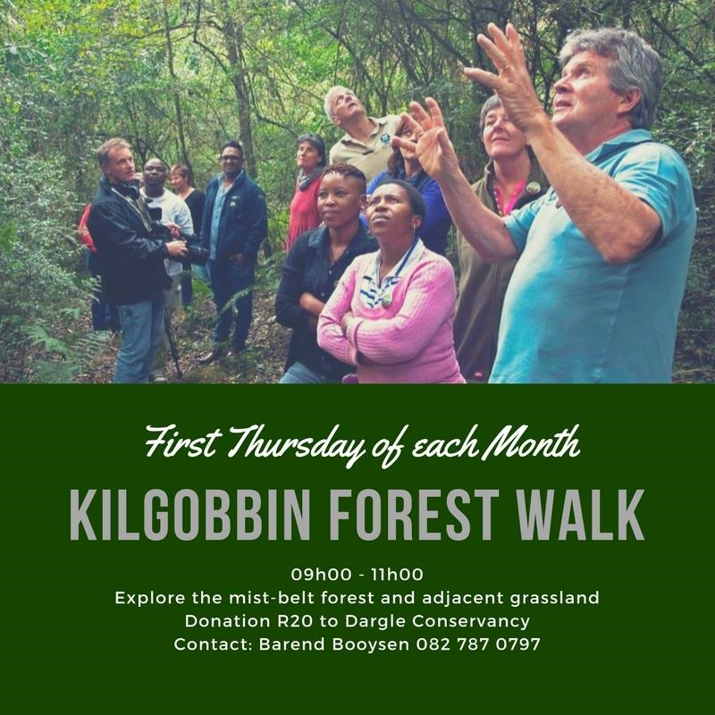 kilgobbin copy