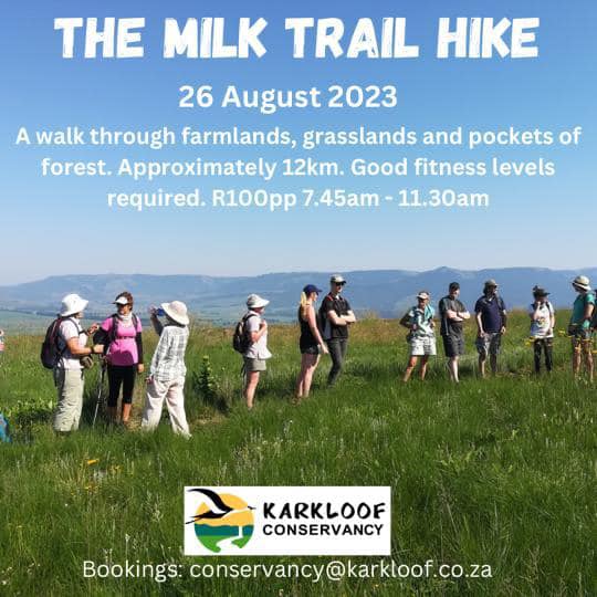 milk trail 26 aug