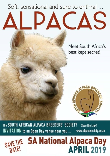 national alpaca day 2019 copy