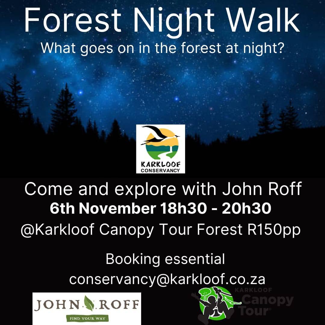 night walk in karkloof forest