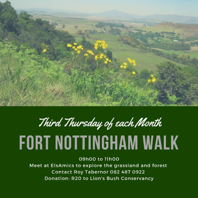 notties walk sept