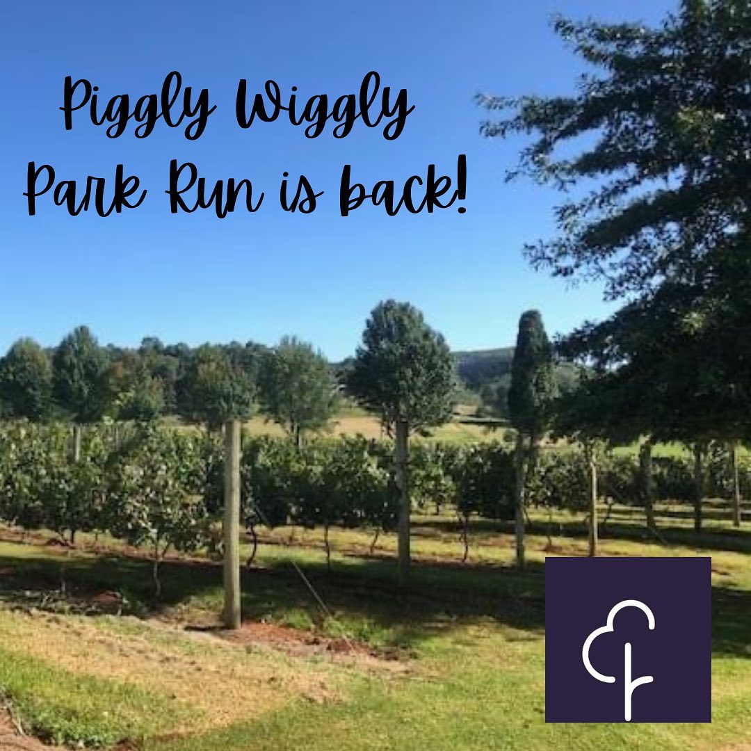 piggly wiggly 13 nov