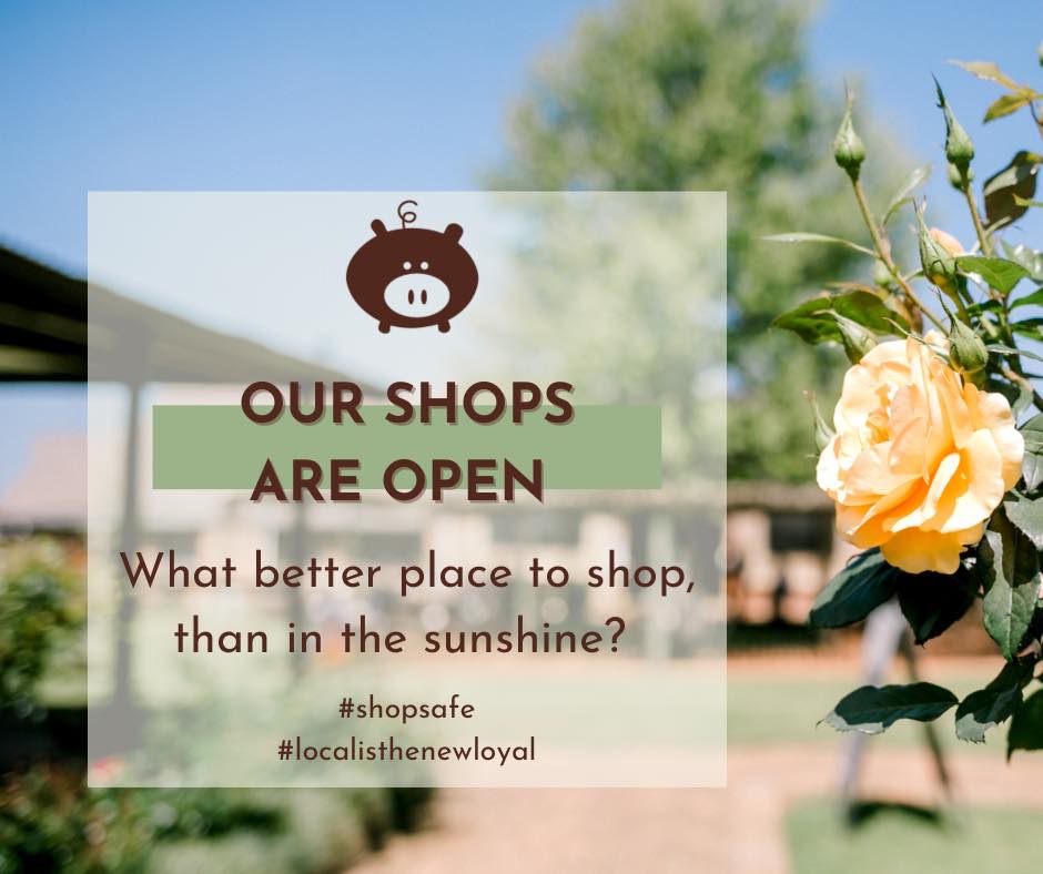 piggly wiggly copy copy