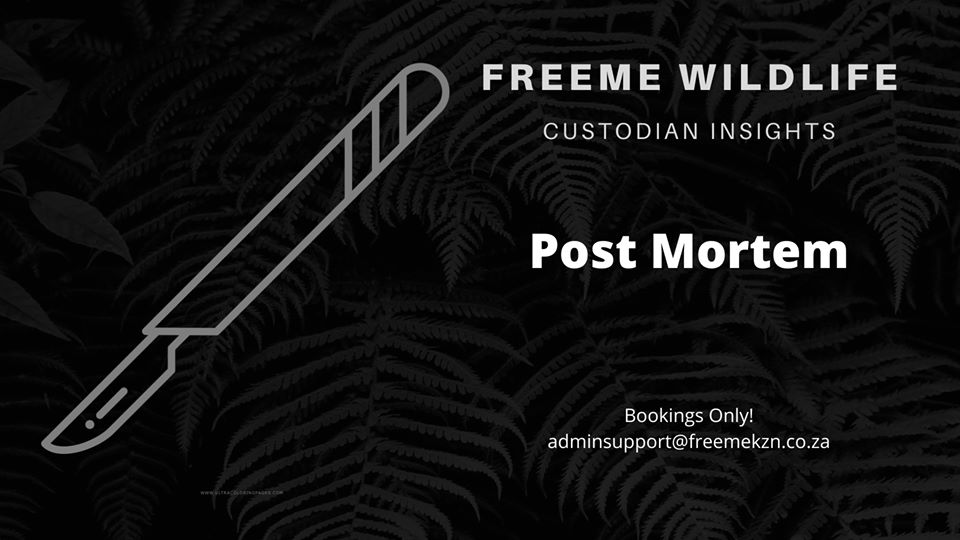 post mortem