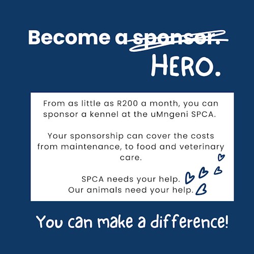 spca hero howick