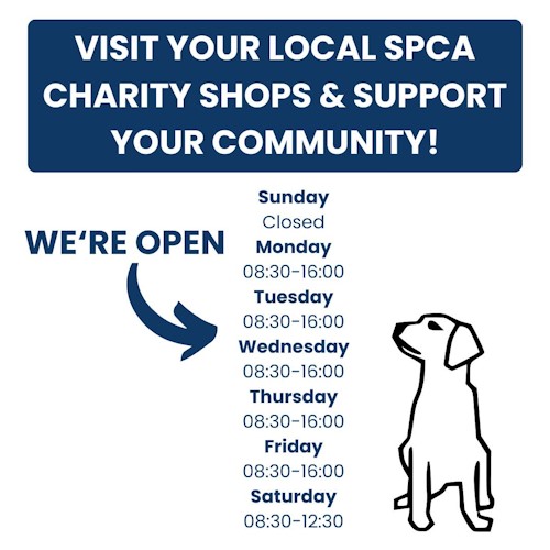spca opening hours for charity shops hilton howick kzn