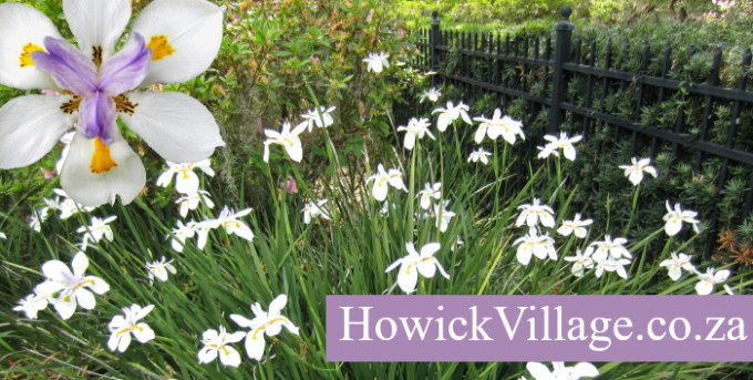 HowickVillage.co.za