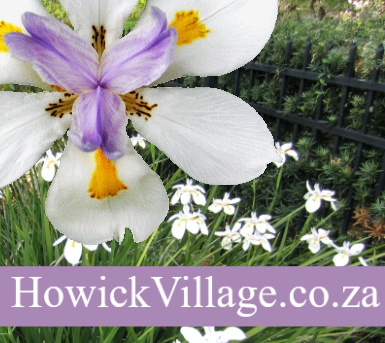 spring 2021 newsletter