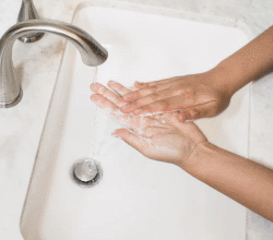 wash hands