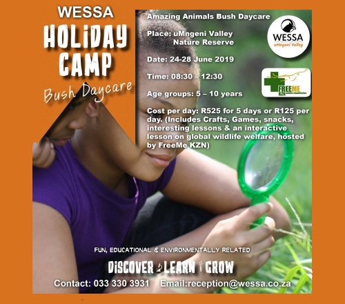wessa holiday club copy copy